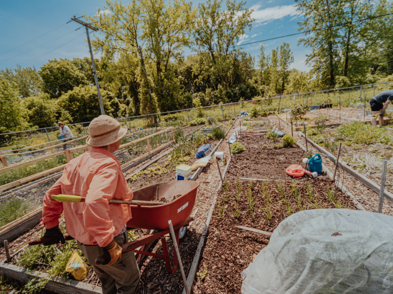 Personne de dos au Jardin communautaire