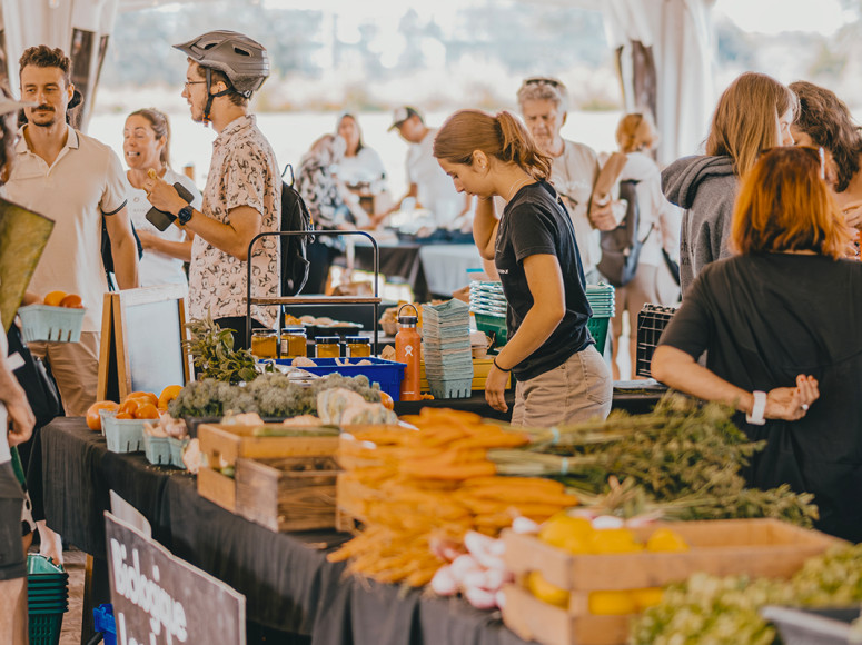 Vue générale du marché