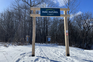 Personne marchant dans la forêt.