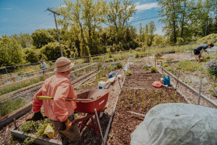 Personne de dos au Jardin communautaire