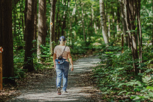 Personne marchant dans la forêt.