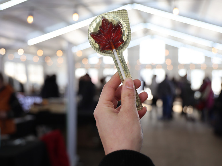 Suçon en forme de feuille d'érable