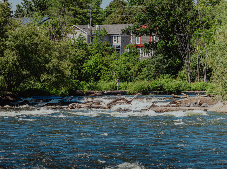 Photo des rapides de la rivière Richelieu