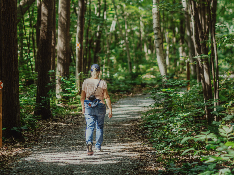 Personne marchant dans la forêt.