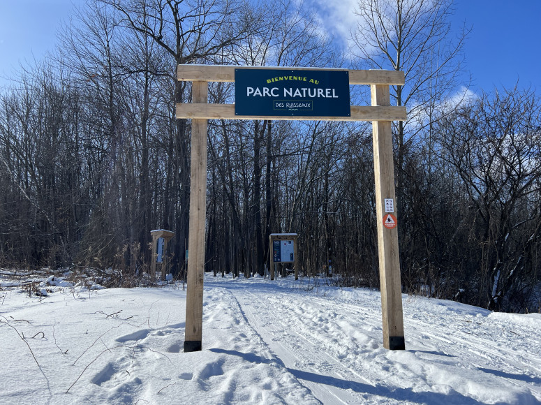 Personne marchant dans la forêt.